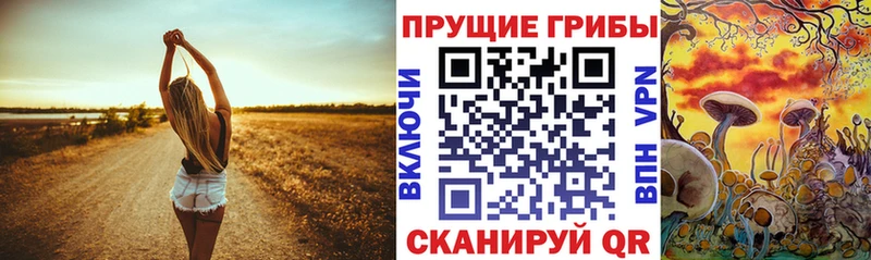 Галлюциногенные грибы прущие грибы  blacksprut онион  Камышин 