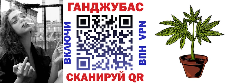 наркотики  Камышин  omg сайт  Канабис конопля 